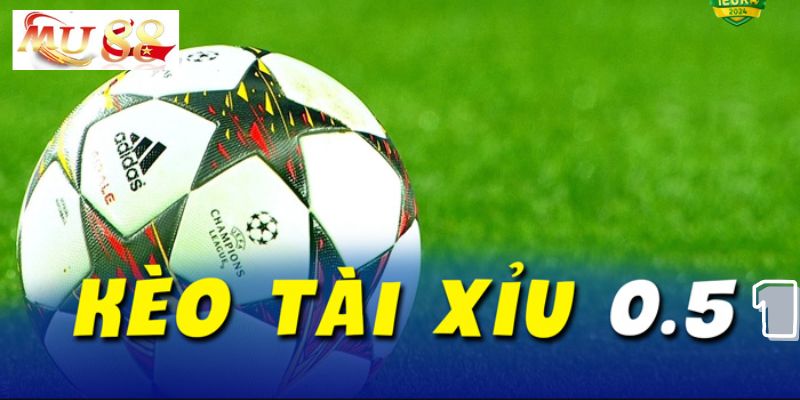 Tất tần tật về cách soi kèo hiệu quả