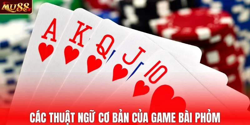 Các thuật ngữ cơ bản của game bài phỏm