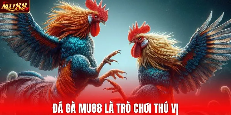 Đá gà MU88 là trò chơi thú vị
