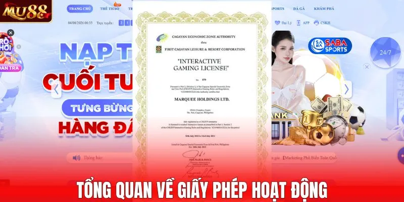 Tổng quan về giấy phép hoạt động